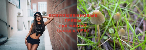 прущая мука Медвежьегорск
