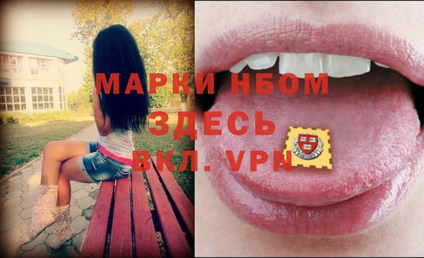 соль ск Медногорск