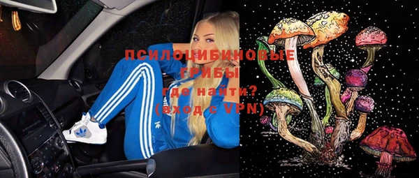соль ск Медногорск