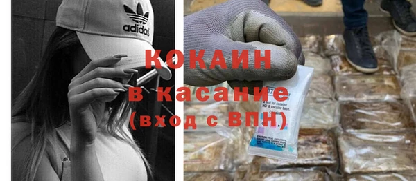 индика Чегем