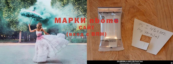 соль ск Медногорск