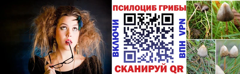 что такое наркотик Дрезна Галлюциногенные грибы мухоморы